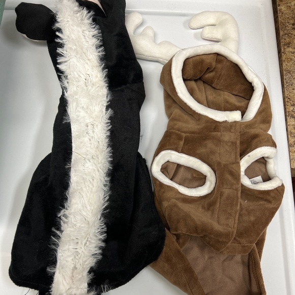 Costumes - Picture 8 of 8